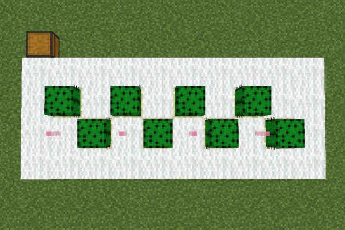 緑の染料を無限にする 完全放置 超絶簡単なサボテン自動増殖機３種 ぜんくら